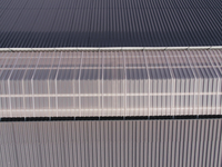 Piima- ja veiselaut Pakruojis