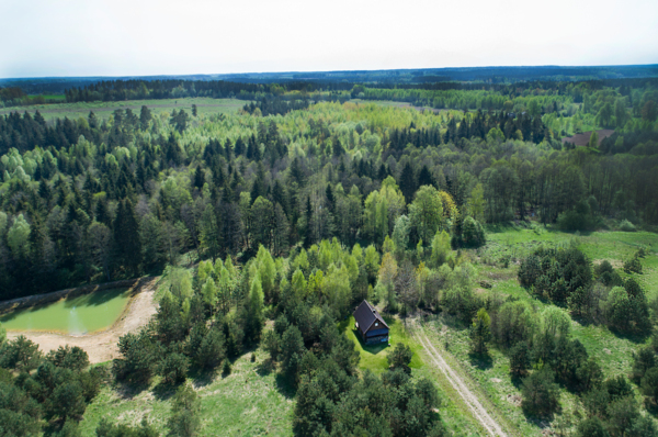 Saun Vilniuses